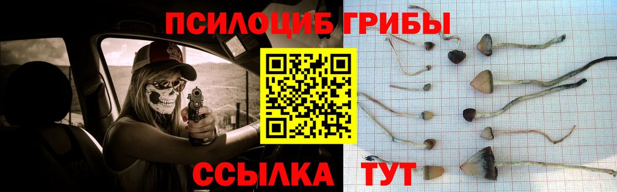 Галлюциногенные грибы Psilocybe Топки